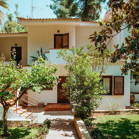 Beautiful Summerhouse In Sani'S Pine Forest باراليا ساني المظهر الخارجي الصورة