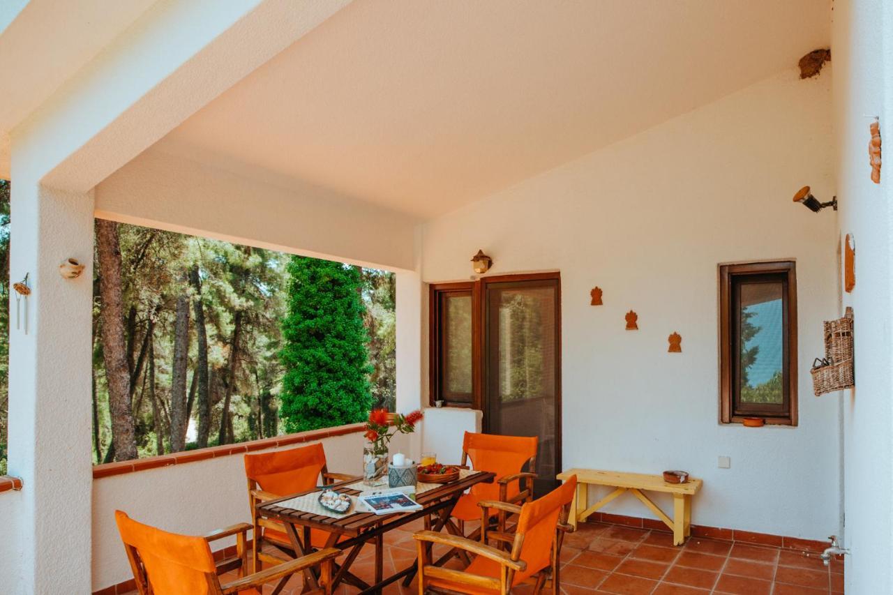 Beautiful Summerhouse In Sani'S Pine Forest باراليا ساني المظهر الخارجي الصورة