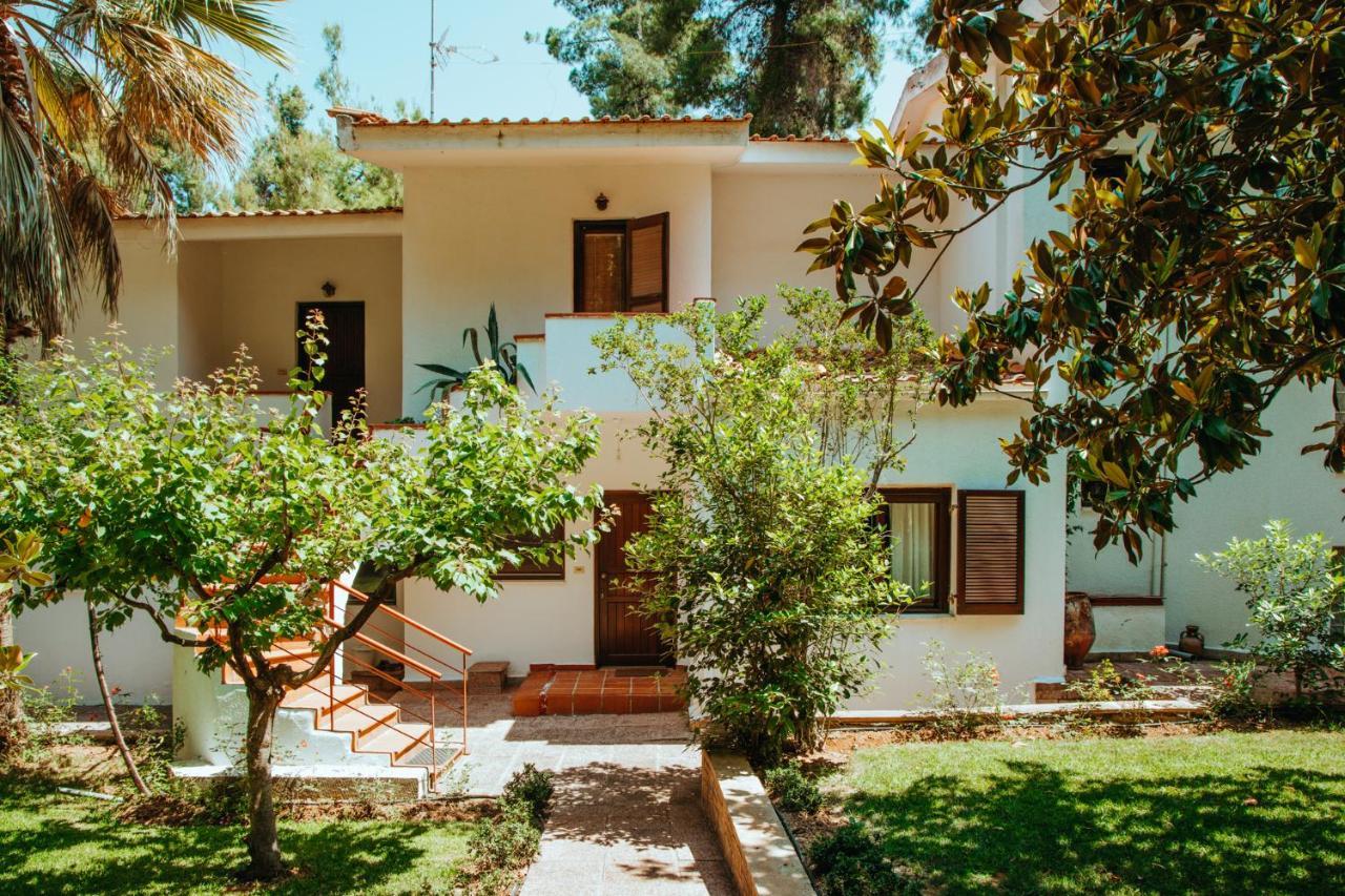 Beautiful Summerhouse In Sani'S Pine Forest باراليا ساني المظهر الخارجي الصورة