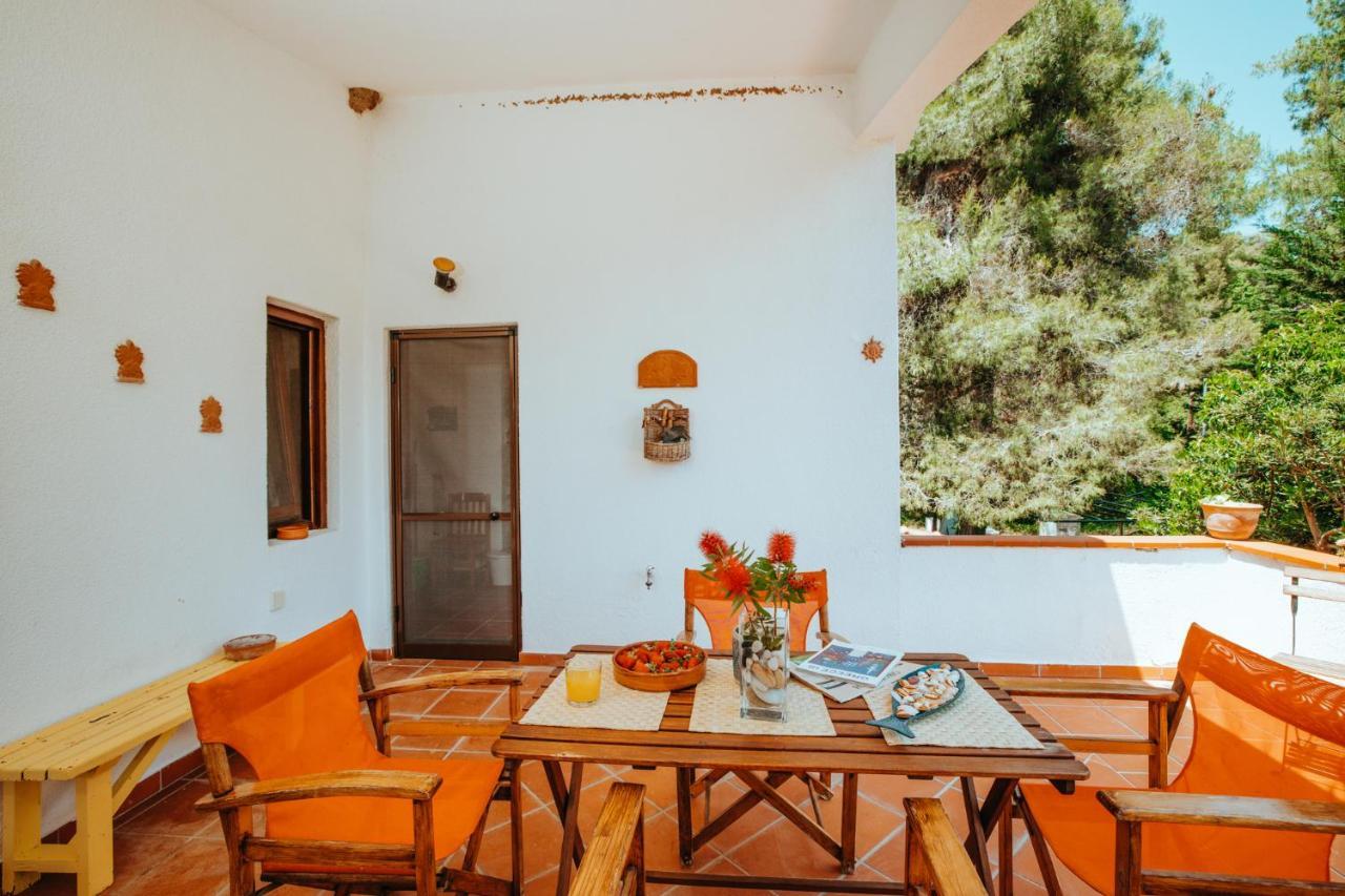 Beautiful Summerhouse In Sani'S Pine Forest باراليا ساني المظهر الخارجي الصورة