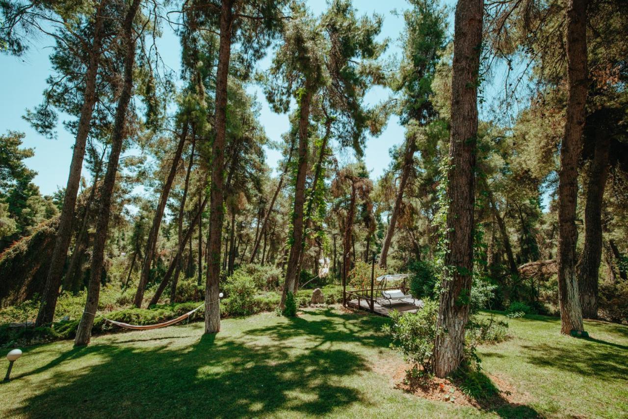 Beautiful Summerhouse In Sani'S Pine Forest باراليا ساني المظهر الخارجي الصورة