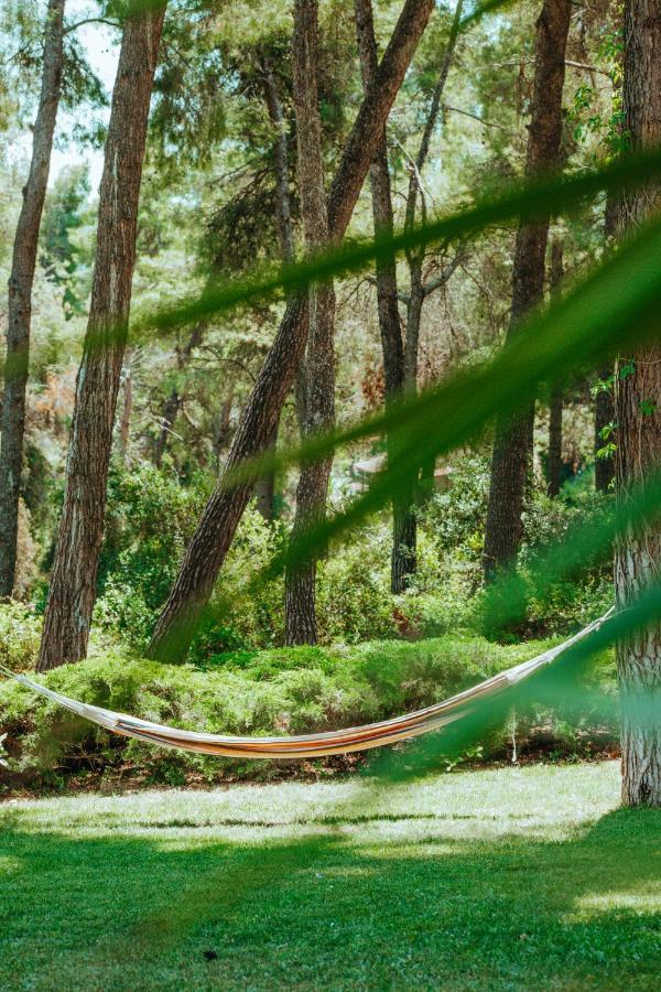 Beautiful Summerhouse In Sani'S Pine Forest باراليا ساني المظهر الخارجي الصورة