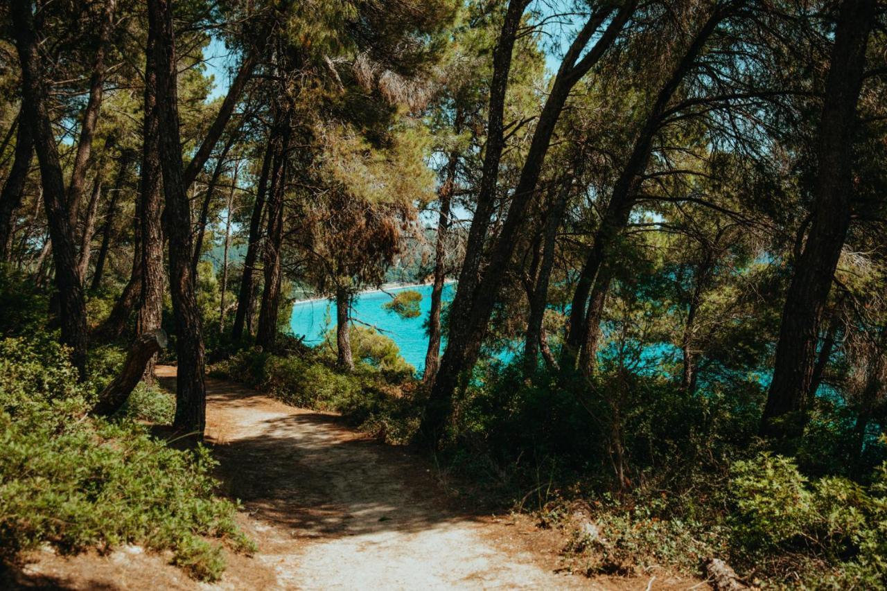 Beautiful Summerhouse In Sani'S Pine Forest باراليا ساني المظهر الخارجي الصورة