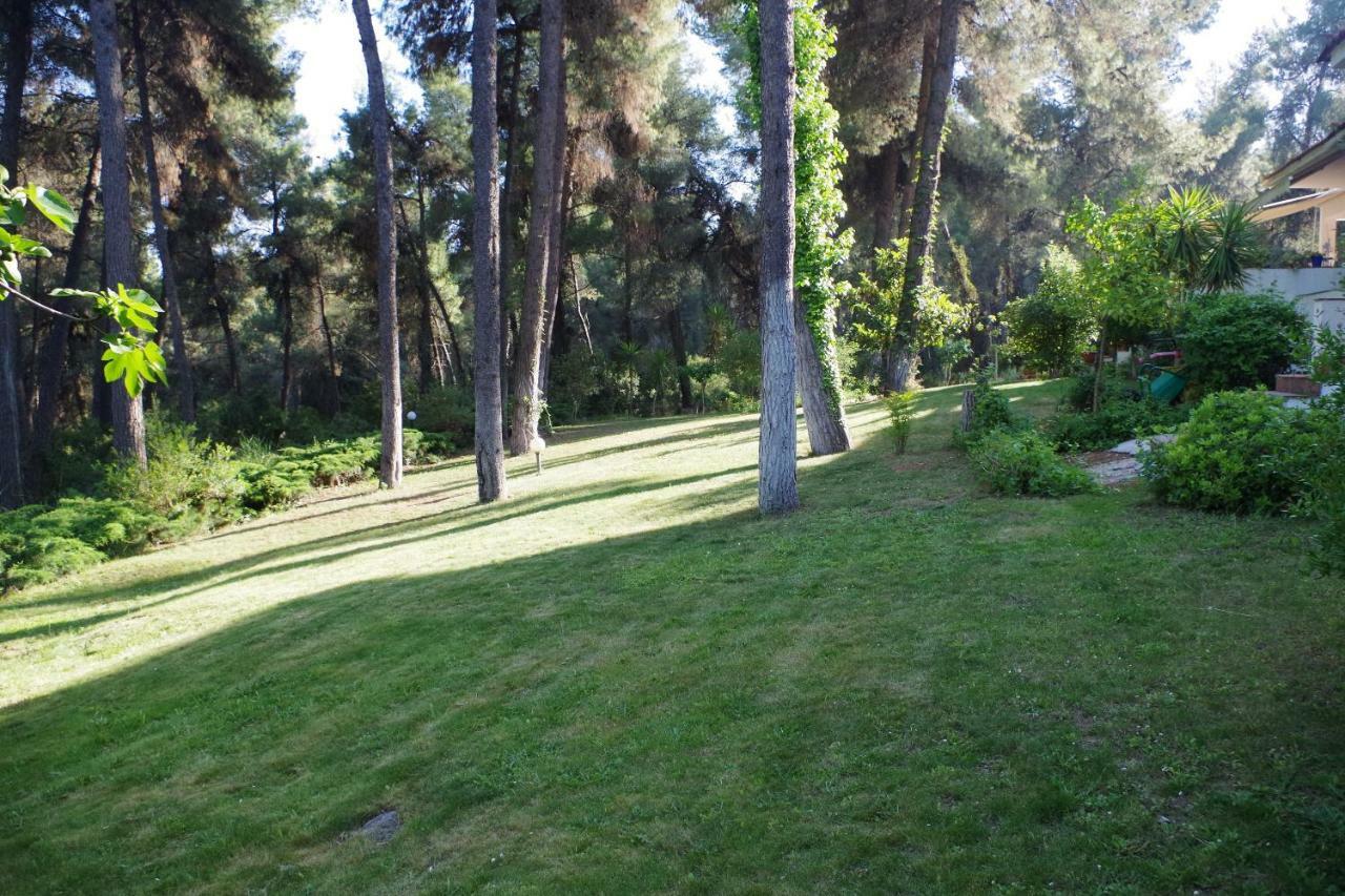 Beautiful Summerhouse In Sani'S Pine Forest باراليا ساني المظهر الخارجي الصورة