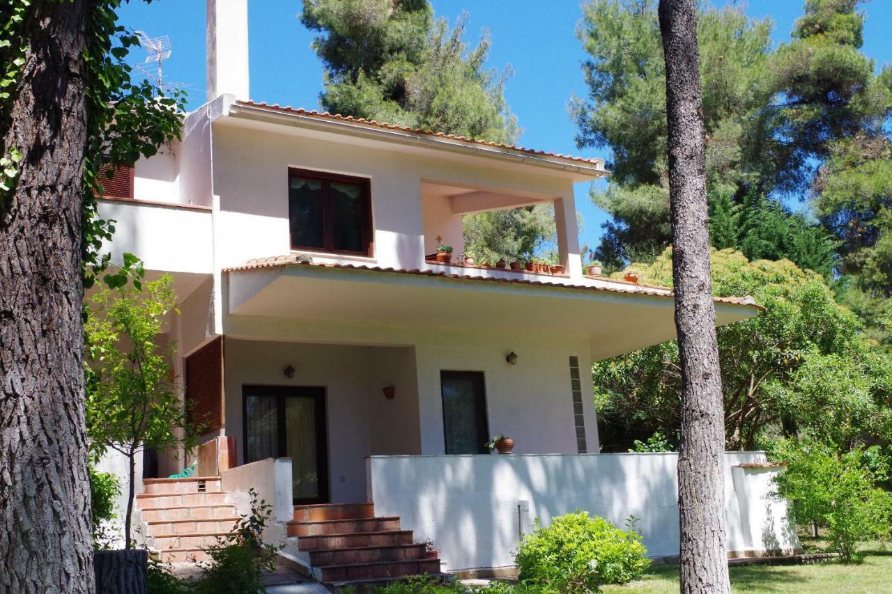 Beautiful Summerhouse In Sani'S Pine Forest باراليا ساني المظهر الخارجي الصورة