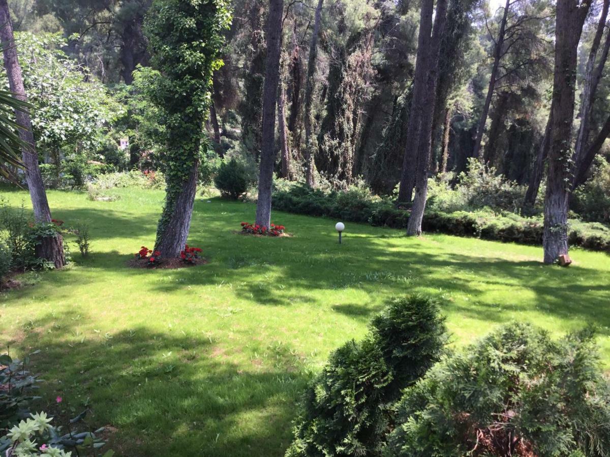 Beautiful Summerhouse In Sani'S Pine Forest باراليا ساني المظهر الخارجي الصورة